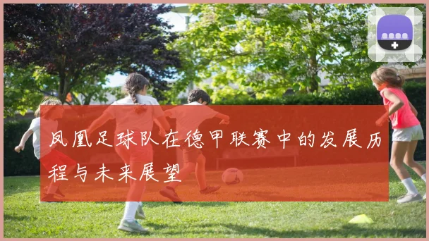 凤凰足球队在德甲联赛中的发展历程与未来展望