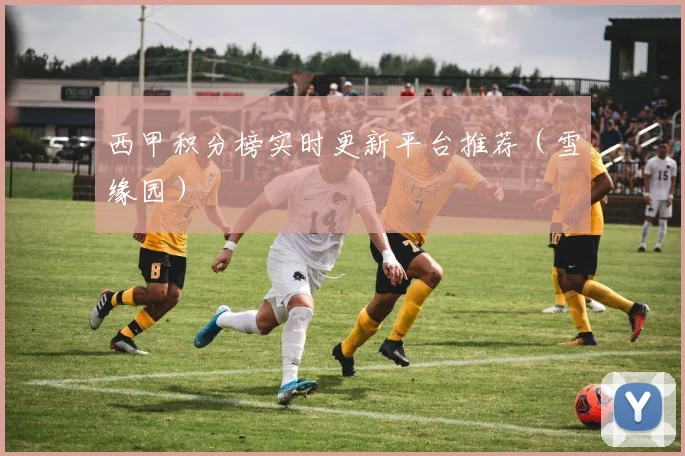 西甲积分榜实时更新平台推荐（雪缘园）