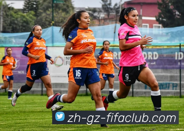 世界杯直播平台生态图