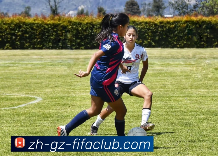 数据防护可视化